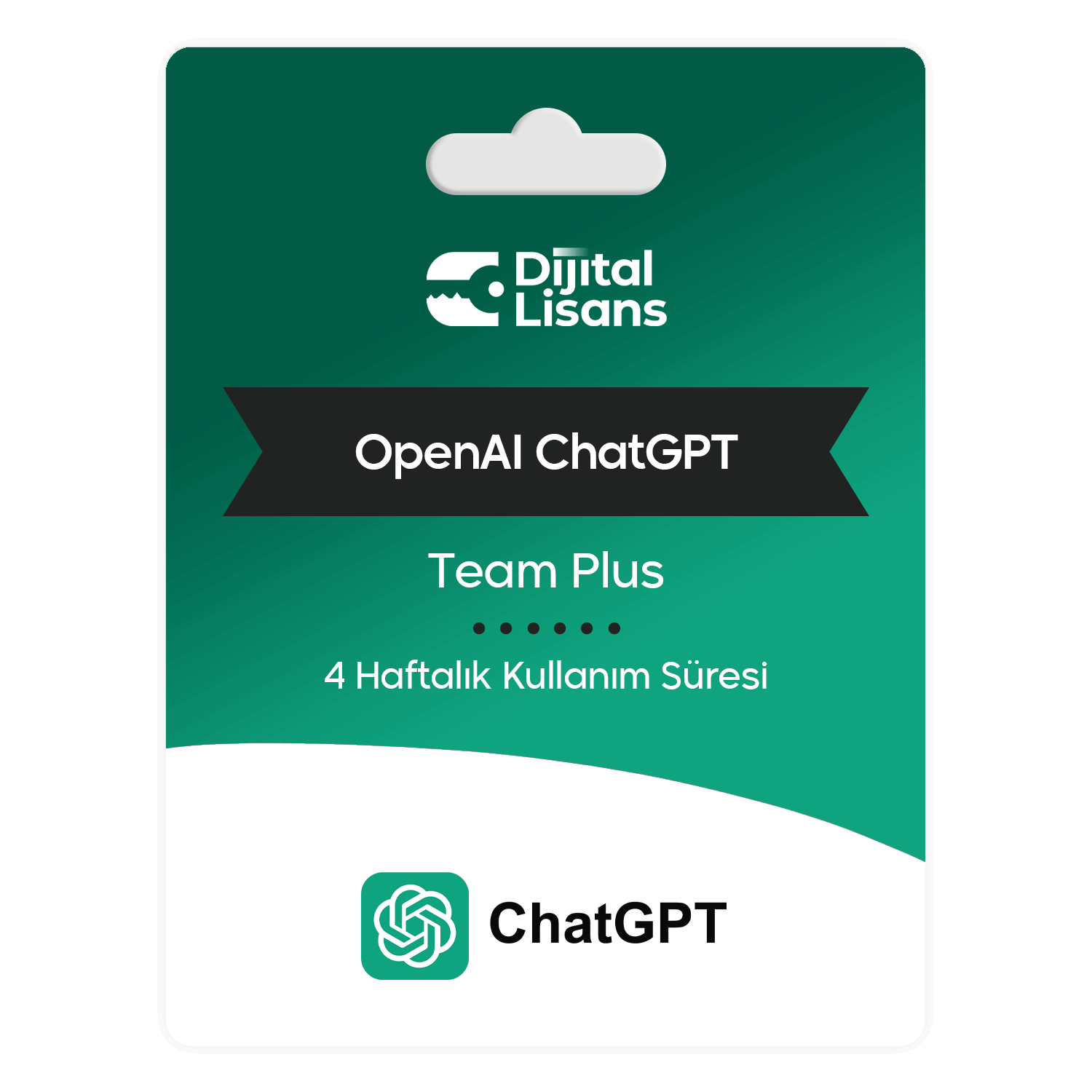 ChatGPT-Team-Plus ChatGPT Team Plus