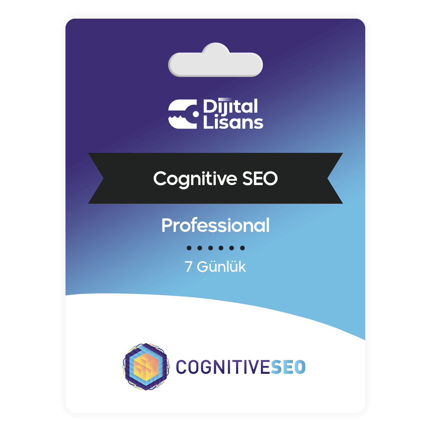 Cognitive-Seo Cognitive Seo