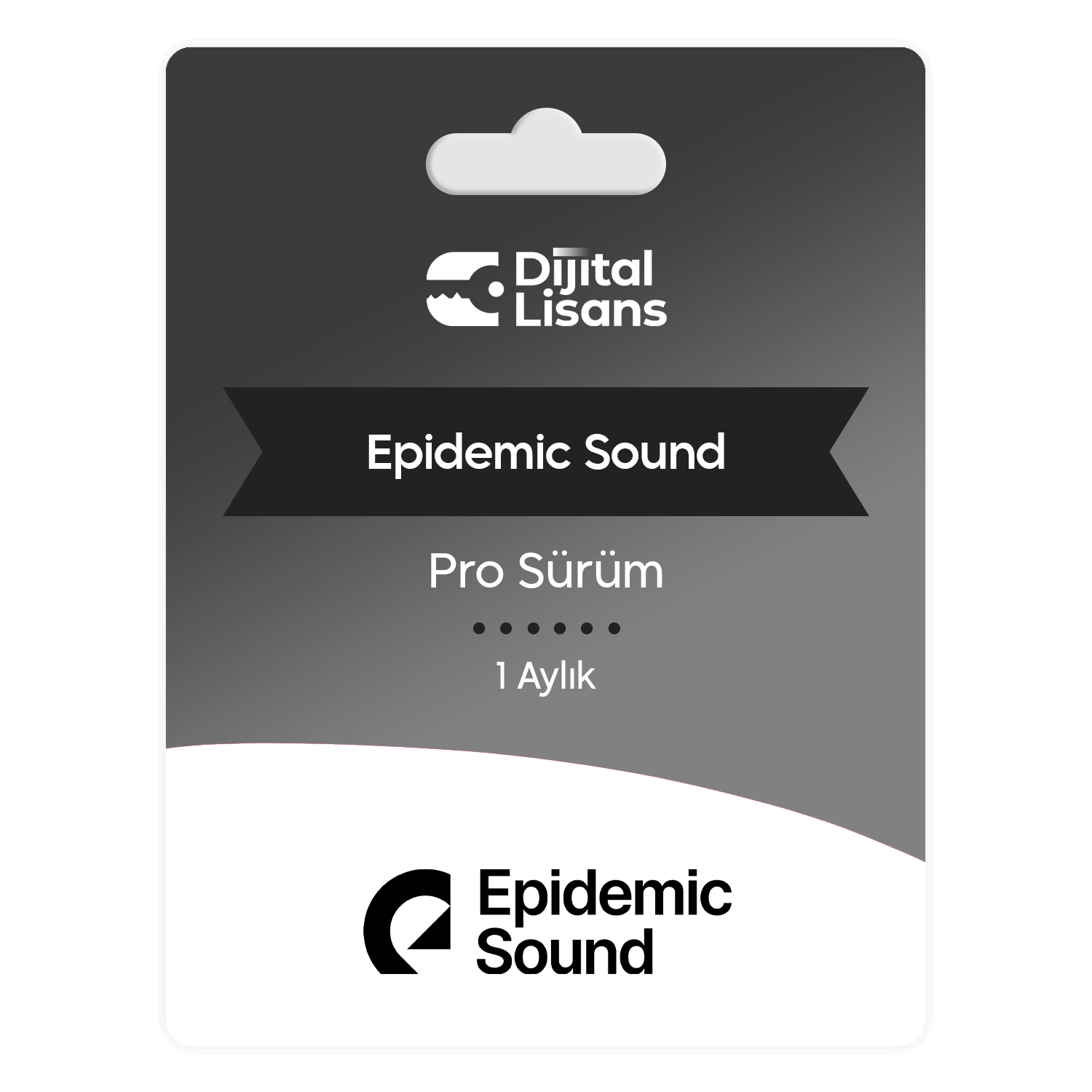 Epidemic-Sound-Pro-1-Aylik Epidemic Sound Pro 1 Aylik