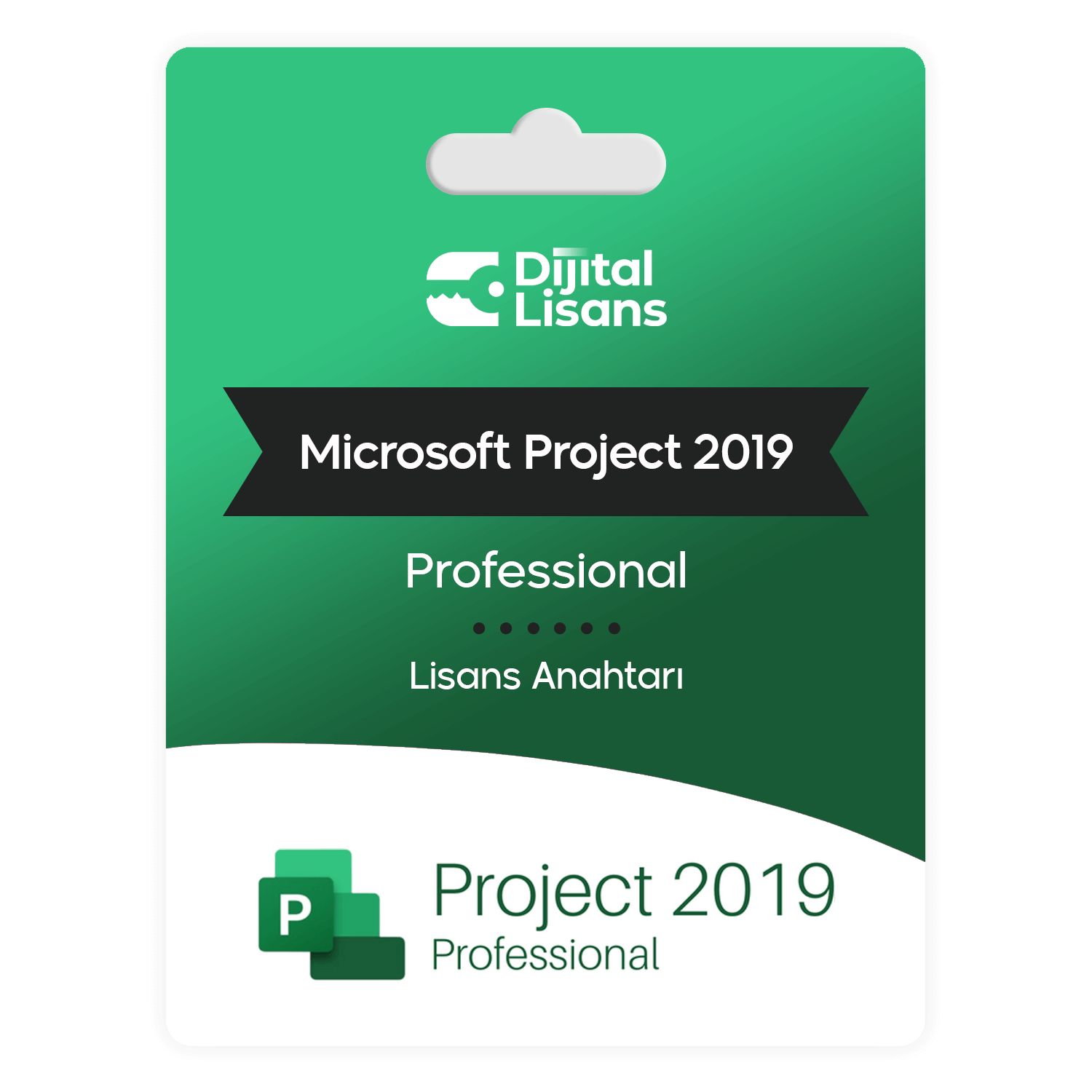 Project-2019-Professional Project 2019 Professional