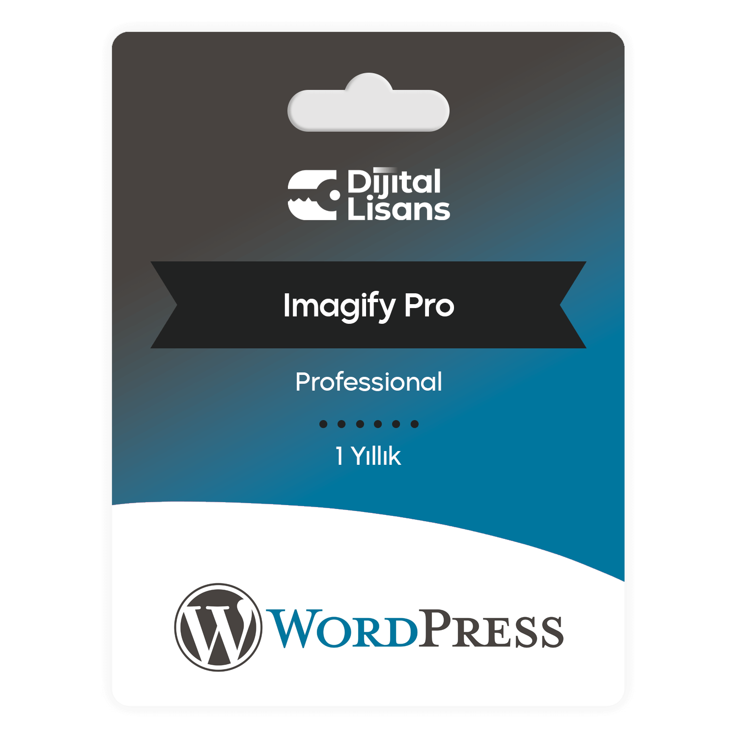 Imagify-Pro-Wordpress Imagify Pro Wordpress
